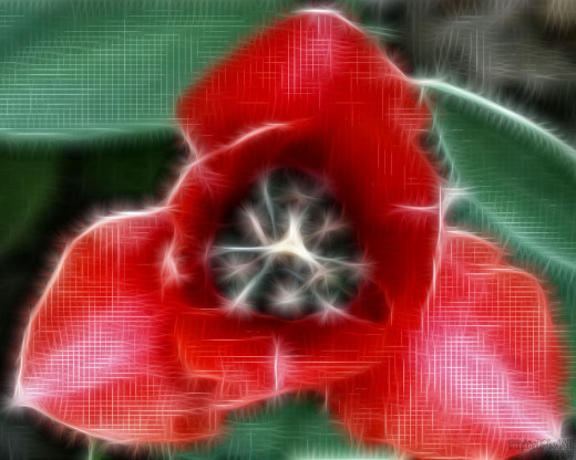 �18185 �������(a): ����������:1280x1024